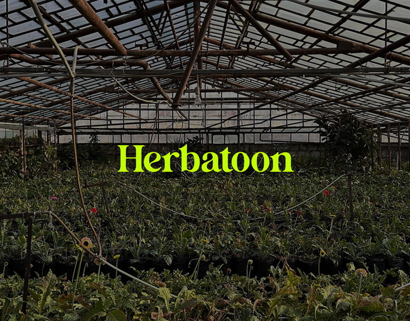 В Твери установили новый светофор